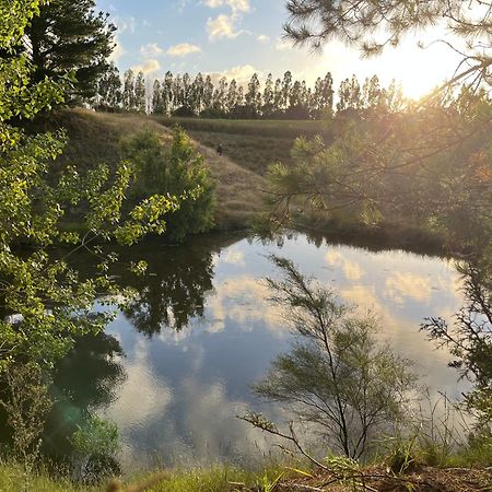 A Cabin With A Big View, Comfort And Tranquility, Close To Vines Martinborough Luaran gambar