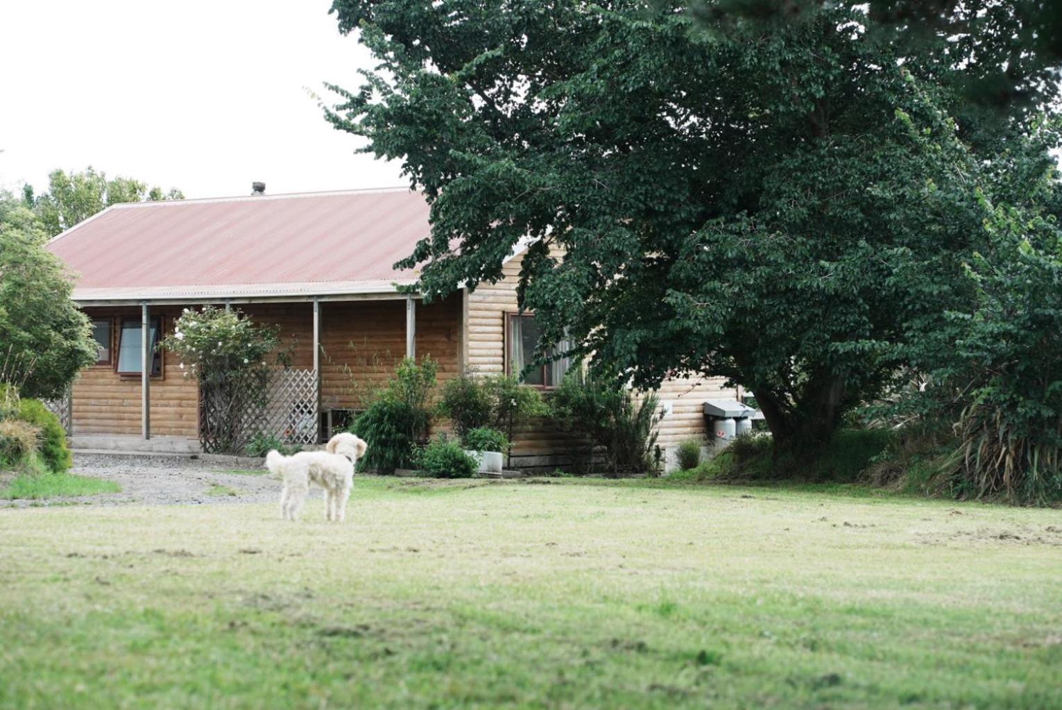 A Cabin With A Big View, Comfort And Tranquility, Close To Vines Martinborough Luaran gambar