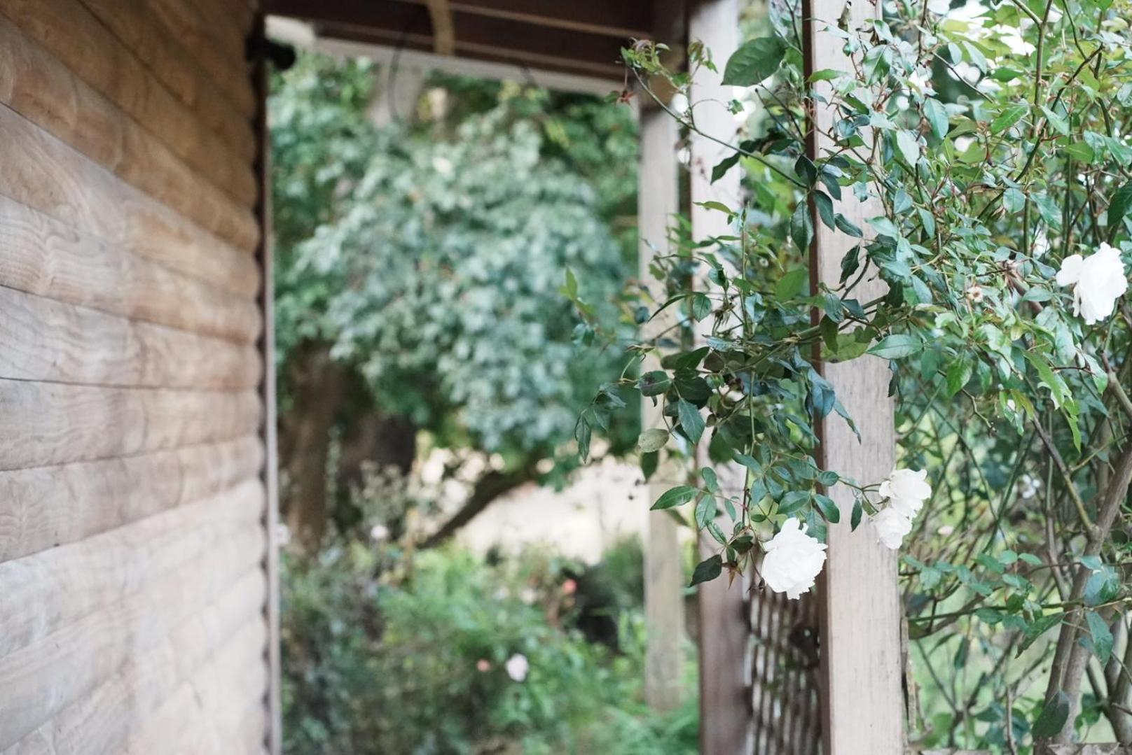A Cabin With A Big View, Comfort And Tranquility, Close To Vines Martinborough Luaran gambar