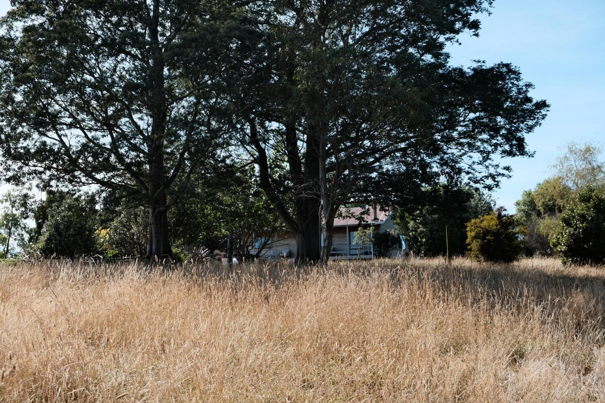 A Cabin With A Big View, Comfort And Tranquility, Close To Vines Martinborough Luaran gambar