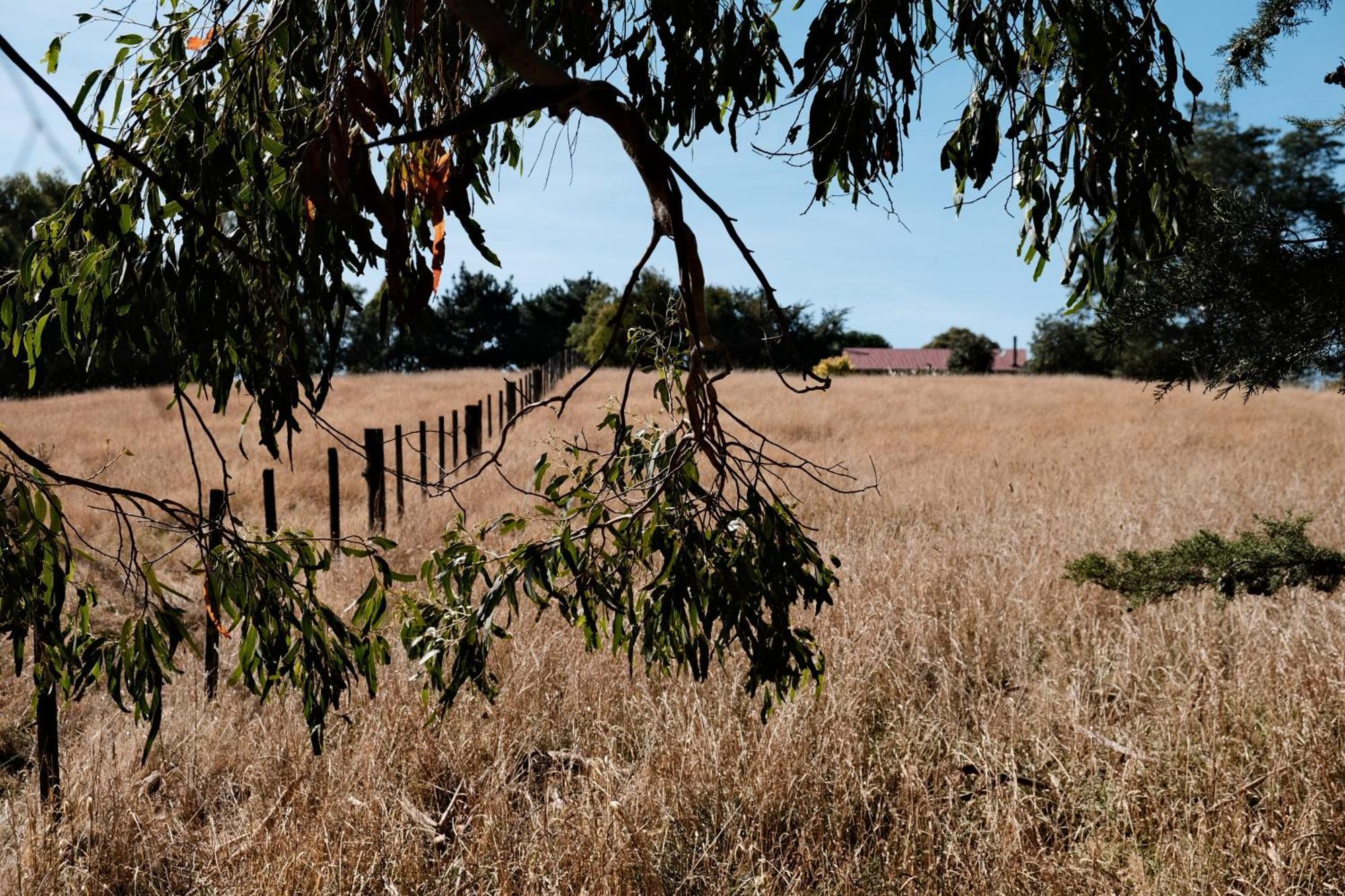 A Cabin With A Big View, Comfort And Tranquility, Close To Vines Martinborough Luaran gambar