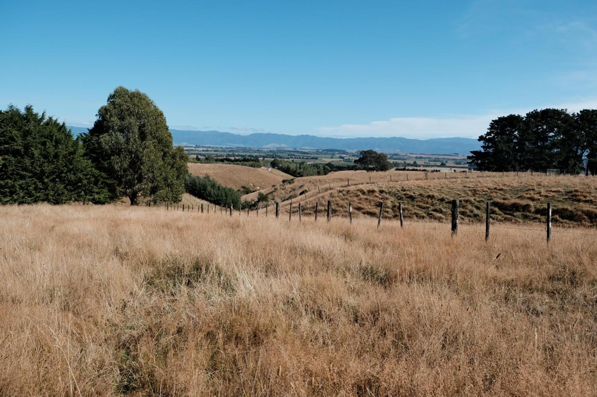 A Cabin With A Big View, Comfort And Tranquility, Close To Vines Martinborough Luaran gambar