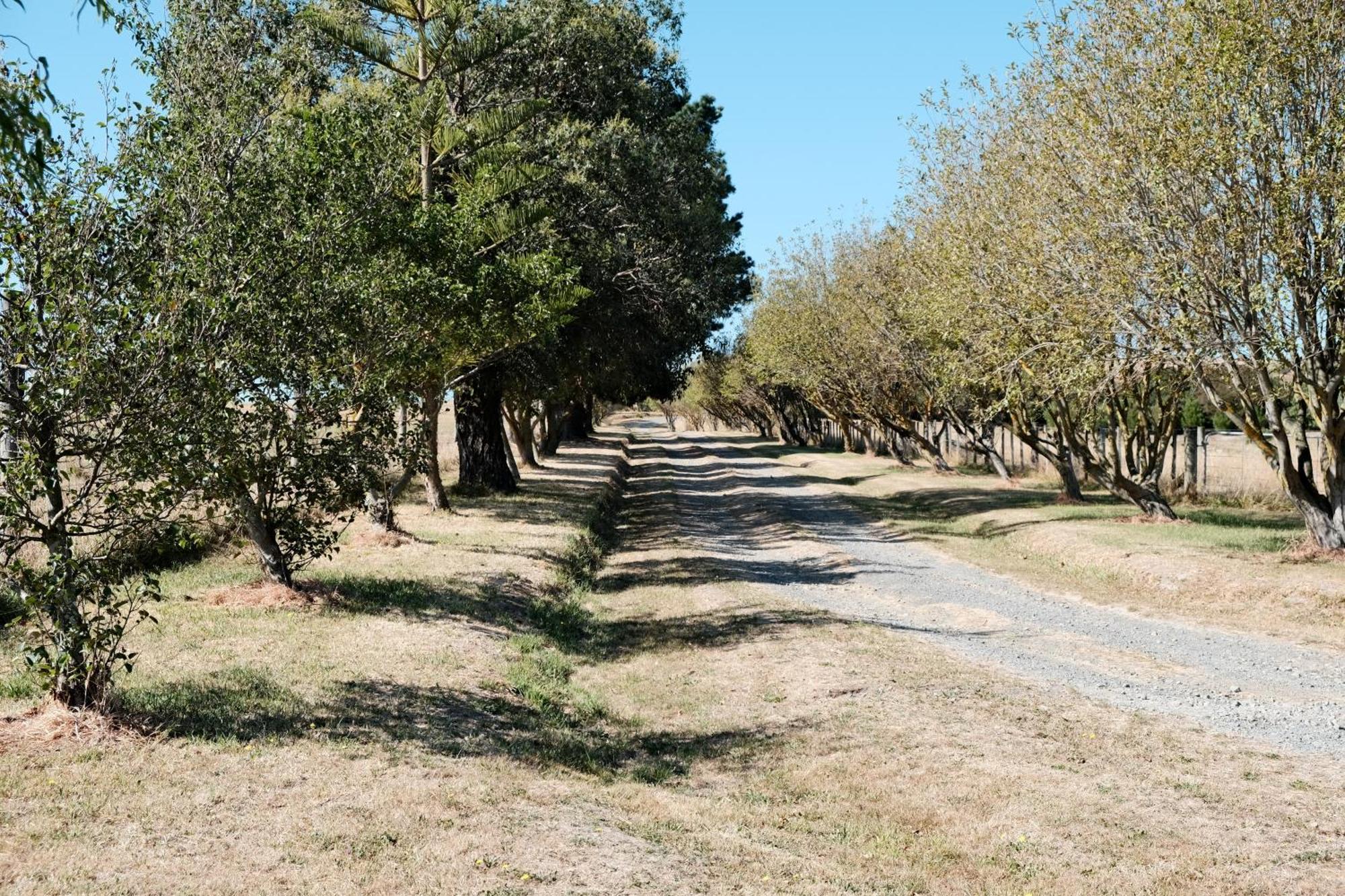 A Cabin With A Big View, Comfort And Tranquility, Close To Vines Martinborough Luaran gambar